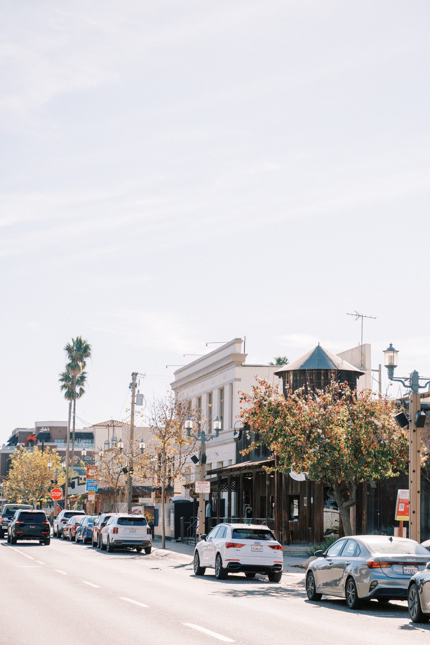 How to get married at the Temecula Courthouse, Temecula Courthouse wedding, Riverside County Courthouse Wedding, Wedding at the Temecula Courthouse, Temecula City Hall Wedding, Wedding at Temecula City Hall, Courthouse wedding at the Temecula Courthouse, Temecula Intimate wedding, Temecula elopement